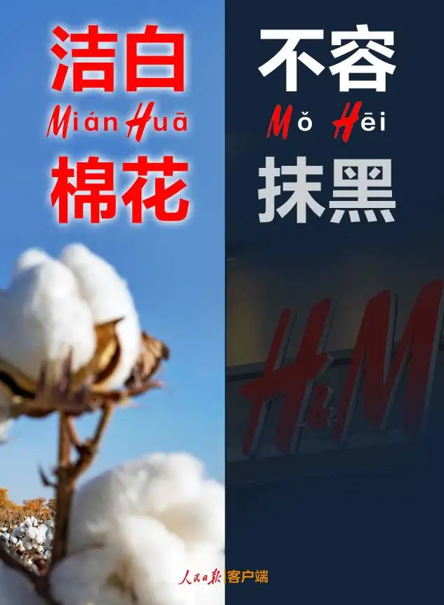 潔白棉花，不容抹黑，花榮華與華一起